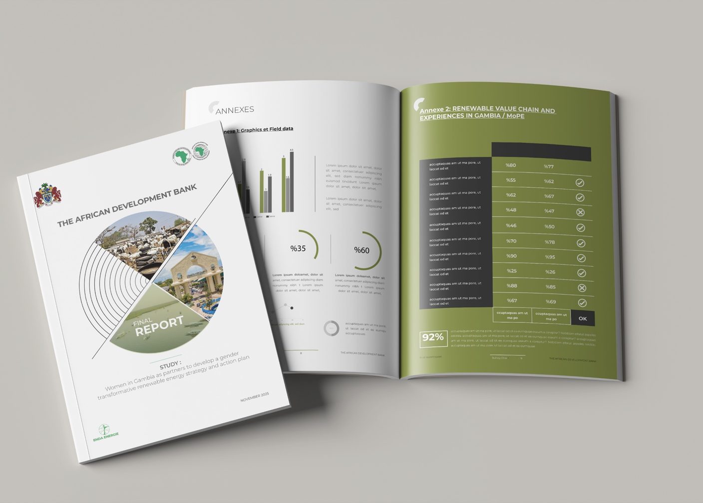 AfDB final report on gender-transformative renewable energy in Gambia, cover and open annexes spread with charts